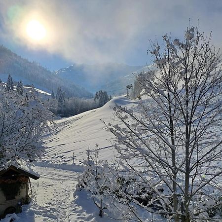 Ferienwohnungen Lehenhof Alpbach Eksteriør bilde