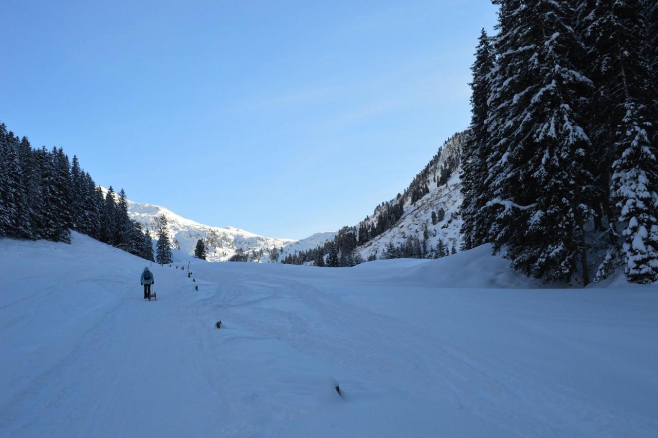 Ferienwohnungen Lehenhof Alpbach Eksteriør bilde