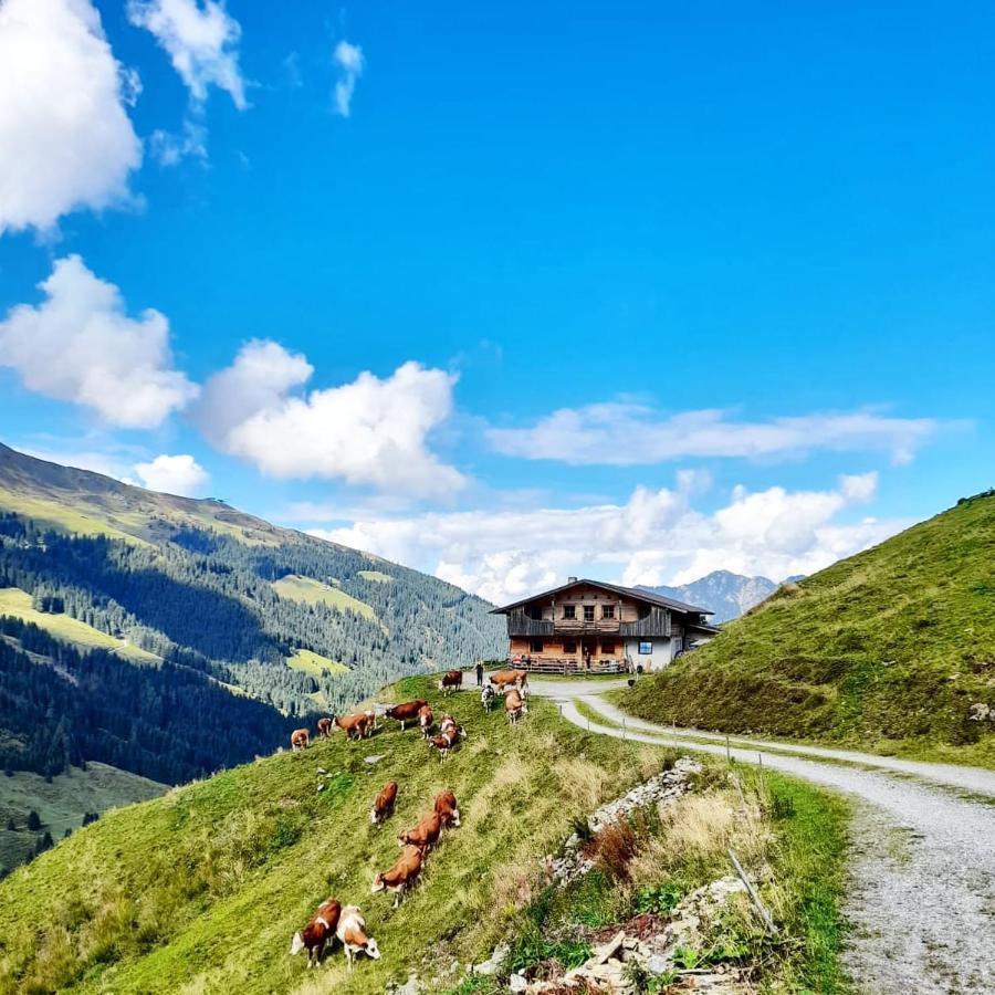 Ferienwohnungen Lehenhof Alpbach Eksteriør bilde