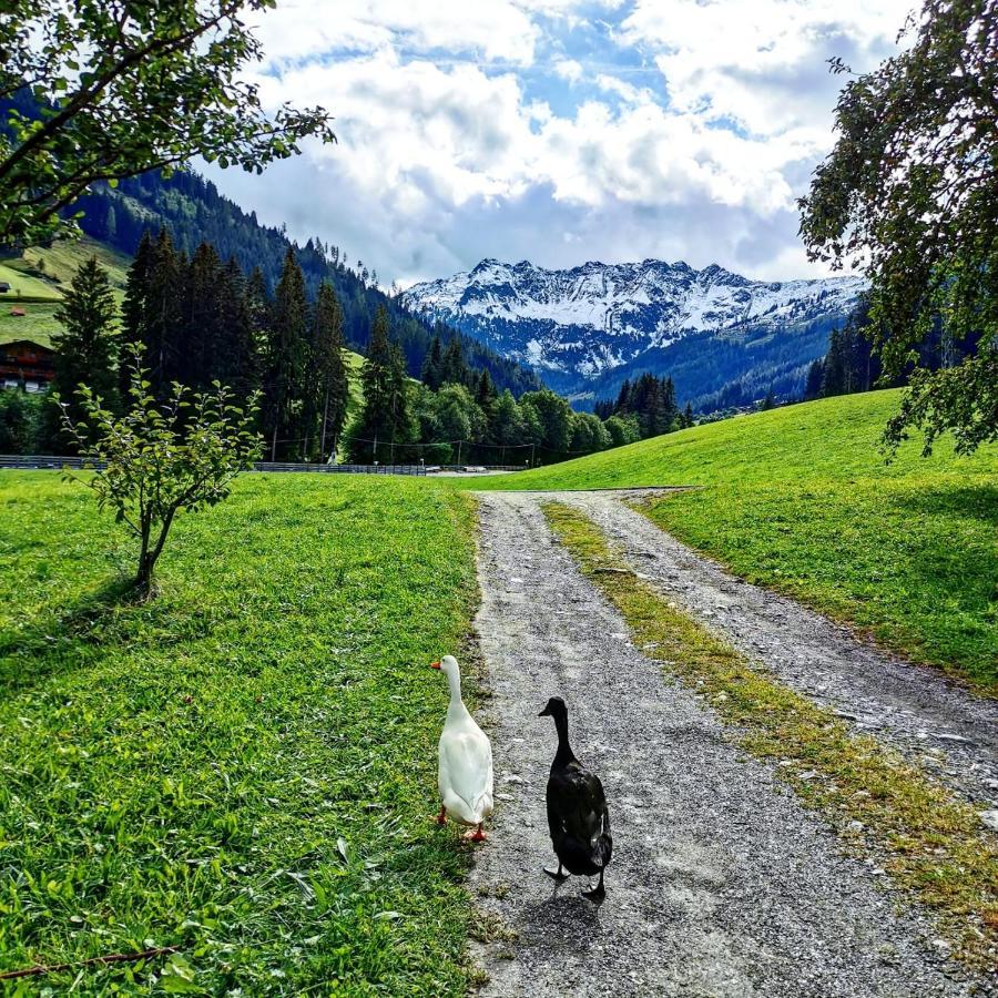 Ferienwohnungen Lehenhof Alpbach Eksteriør bilde