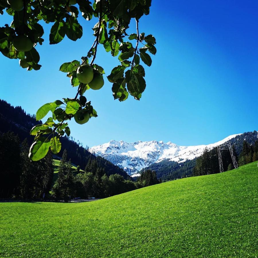 Ferienwohnungen Lehenhof Alpbach Eksteriør bilde